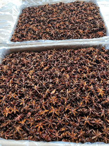 Anís estrellado entero seco premium de Vietnam, sin tallo, natural, de alto aroma, especias a granel, venta al por mayor, exportador y proveedor confiable / ANNA DO - Product Image 3