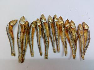 Anchoas Secas al Sol de Vietnam, Pescado Seco Entero Natural para Procesamiento de Alimentos, Suministro para Restaurantes y Distribución Mayorista de Mariscos - Product Image 3
