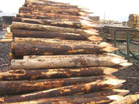 Estacas de madera de alta resistencia Postes de madera puntiagudos para esgrima Jardinería y paisajismo Suministros de jardín