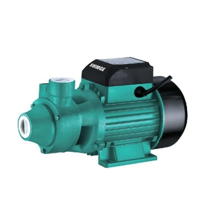 Bomba de Agua Eléctrica para Uso Doméstico, Jardín y Granja, Bomba Duradera para Riego, Marca Personalizada con 1 Año de Garantía - Product Image 6