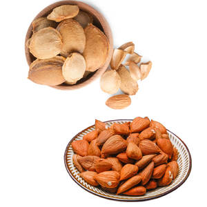 เมล็ดแอปริคอทหวาน | ตัวเลือกอาหารว่างจากธรรมชาติที่มีรสชาติละเอียดอ่อน - Product Image 4