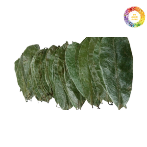 Feuilles de Corossol Séchées Biologiques Vente en Gros Prix Compétitif Feuille de Graviola Séchée Fournie du Vietnam par 99 Données Or - Product Image 5