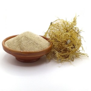 Nutritious Food Grade Natural Seaweed Extract Powder Wholesale <b>Dried</b> Sea <b>Moss</b> Powder for Export - Product Image 1