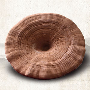 Champignons Frozen, 6 pièces, à vendre - Product Image 1