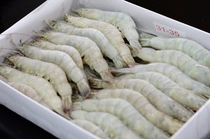 กุ้งแช่แข็งปรุงสุกที่มีคุณภาพสูงสุกกุ้งแช่แข็งในเวียดนามขายร้อนสุกกุ้งแช่แข็งวันหยุด - Product Image 6