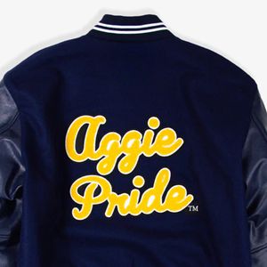 Para A & T Aggie Varsity Jacket manga de seda bordado recubierto frontal HBCU College Letterman - Product Image 6