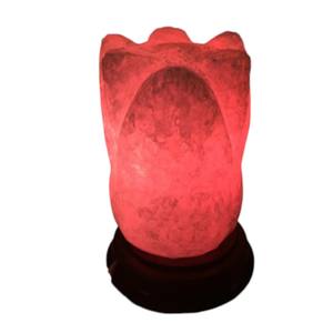 Sian Enterprises Lampe de sel de roche rose sculptée à la main romantique Lampe de sel de l'Himalaya - Product Image 6