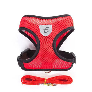 Set di Pettorina e Guinzaglio per Animali Domestici, Comodo e Traspirante, Stile Semplice e Grazioso per Passeggiate e Addestramento di Cani e Gatti - Product Image 1