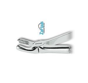 Fórceps extractores de acero inoxidable de alta calidad molares superiores izquierda para niños Fig. Exportadores y fabricantes de 39L - Product Image 1