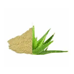 Organic Aloe Vera Extract Powder Your Natural Wellness Choice Aloe Vera Benefits Revitalize Your Beauty and Wellness
