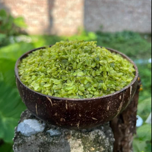 Ensemble de bols en noix de coco écologiques faits à la main coquille de laque naturelle vente en gros faite au Vietnam - Product Image 5