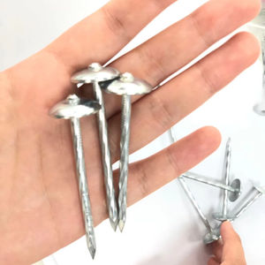 Clavos Con <span class=keywords><strong>Golillas</strong></span> Bwg2.5 - Product Image 1