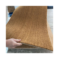 Tapis de porte extérieur épais en fibre de coco naturelle vietnamienne, non peint, brun uni, vente en gros