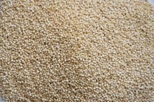 Graines de quinoa de qualité supérieure, riches en protéines, plus de 99 % de pureté, sans gluten, sans OGM, végétaliennes, superaliments riches en fibres, vitamines et minéraux - Product Image 6