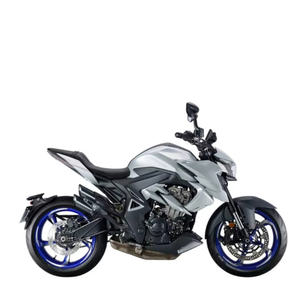 Motocicleta ZONTES R350 2025 con 2 Años de Garantía, Lista para Envío Inmediato - Product Image 2