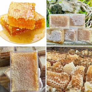 รังผึ้งพรีเมี่ยมเวียดนามเอนไซม์ที่อุดมไปด้วยแร่ธาตุรังผึ้งแสนอร่อยช่วยเพิ่มพลังงานย่อยน้ำผึ้งหวานธรรมชาติทางเลือกที่ดีที่สุด - Product Image 3