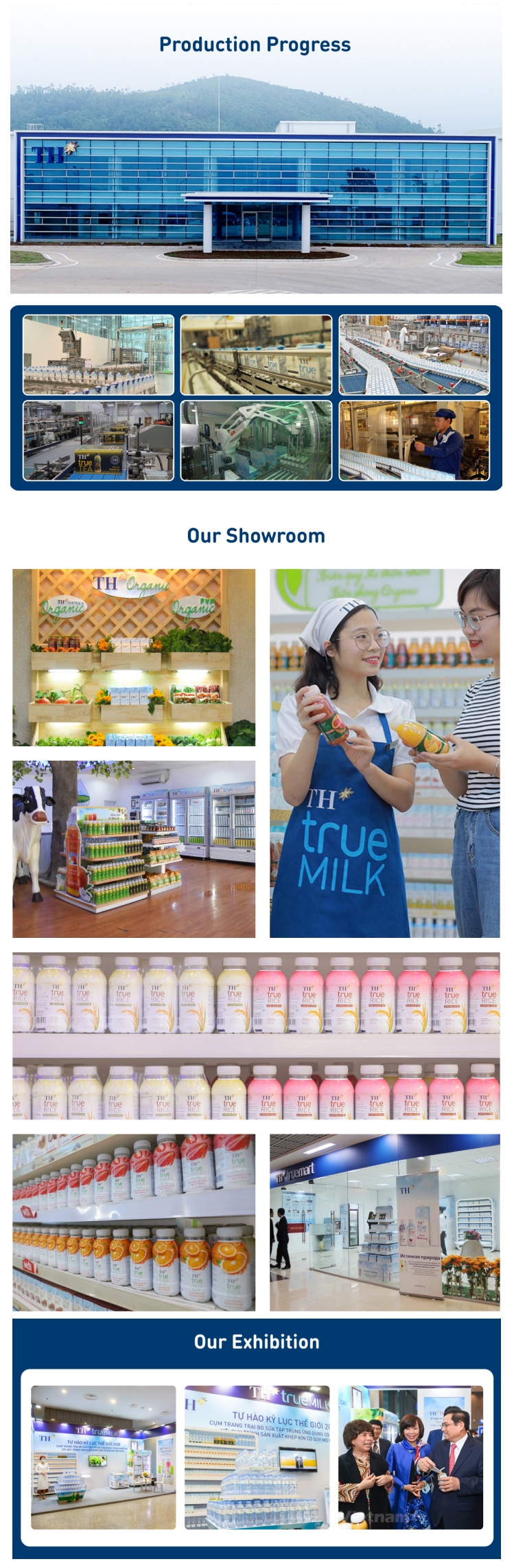 Vietnam Dairy Product TH True MILK - UHT Pure Fresh Milk GOLD 180 ml With High Nutritious Ingredients