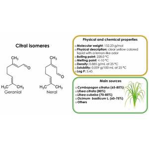 Huile de citral rafraîchissante - Product Image 4