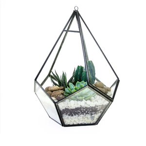Cadre en métal de fer d'excellente qualité avec décoration de plantes de maison de terrarium fini noir de forme unique en verre - Product Image 1