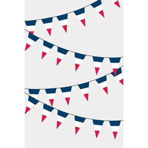 France Triangular Flag <b>Banners</b> Guirlande Party Decorations - Product Image 1