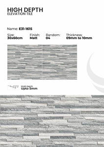 Azulejos de Porcelana para Elevación de 300x600 mm, Arquitectura Exterior - Product Image 3