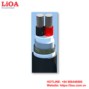 Cables de alimentación de bajo voltaje LiOA AXV/0,6, 2 núcleos de aluminio, 1000/1kV, resistente al calor, 60502 M, Al/DSTA/XLPE/PVC, estándar IEC - Product Image 2