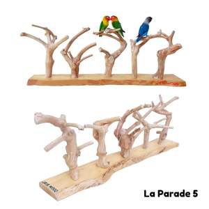 Soporte para Pájaros de Madera de Café Natural Javawoood, Soporte para Pájaros de Alta Calidad, Resistente, Ecológico, Ligero y Duradero para Loros - Product Image 3