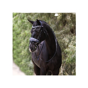 Primera edición Fleur Snaffle Bridle Brida de cuero con estampado floral Precio de fábrica limitado Producto de caballo efímero - Product Image 1