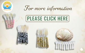 Cucharas Pequeñas de Concha Blanca Orgánica, Cucharas de Nácar Natural de Alta Calidad para Comida de Bebé, Café y Té - Product Image 4