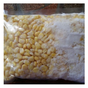 Maíz congelado Limpie el maíz congelado empaquetado exportado de Vietnam con calidad constante para minoristas, cafeterías y preparadores de alimentos - Product Image 5