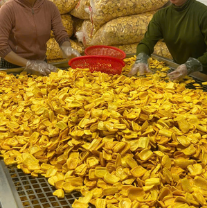 Chips croustillantes du jacquier du Vietnam à base de collation saine fraîche du jacquier pour les détaillants et les distributeurs d'aliments - Product Image 4