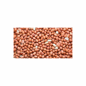 Cacahuete de grado alimenticio orgánico, cacahuete tostado, venta al por mayor, cacahuetes de piel roja seca, nueces de tierra crudas, cacahuetes - Product Image 1