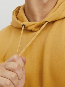 Jersey Unisex Sudadera con capucha con bolsillo Básico Color sólido Fleece Ropa de invierno Estampado Patrón Venta al por mayor para hombres Mujeres - Product Image 2