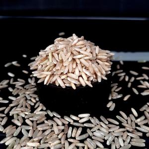 Arroz Basmati orgánico Premium mundial a la venta a granel Arroz seco de la mejor calidad con textura suave - Product Image 5