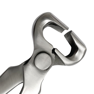 Pinzas para Cascos Veterinarias y Herramientas de Herrador: Pinzas para Cascos de Confianza para Expertos en el Cuidado de Cascos y Recorte de Cascos - Product Image 1