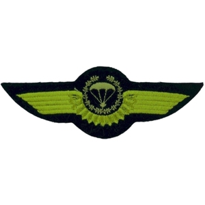 Insignes de broderie à la machine UBORA 1st Special Operations Subdued Embroidered US Forces Shoulder Sleeve (25) Nylon/Polyester - Product Image 6