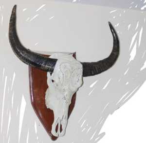 ที่แขวนหรือยืนสำหรับผนังอุปกรณ์ตกแต่งบ้านที่หรูหราแกะสลักรูปควายหัววัวทำด้วยมือ - Product Image 2