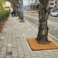 PROTÉGER LES ARBRES DE RUE AVEC DU COIR MULCH MAT DU VIET NAM
