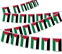 Promotion Personnalisé Polyester Porto Rico Sports palestine National Pays Cordes Suspendues Drapeau Bruant avec Sérigraphie