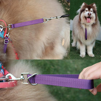 Laisse courte de dressage pour chien en sangle polyester avec poignée et anneau en D