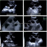 Échographe vétérinaire portable avec sonde, écran 5,6 pouces, construction métallique, garantie 2 ans pour la gestation des petits animaux