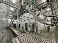 Ligne d'abattage porcin industrielle, équipement complet de transformation du porc, solution personnalisée pour abattoir