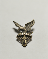 Insignia de Paracaidista de Bronce Vintage con Diseño de Águila |   Insignia Táctica Personalizada de Aleación de Zinc 3D con Esmalte Suave y Acabado Arenado para Coleccionistas y Uniformes |