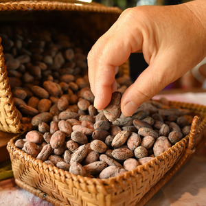 เมล็ดโกโก้แห้งแบบพรีเมี่ยมสำหรับขนมขบเคี้ยวและทำอาหารขายส่ง - Product Image 1