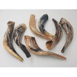 100% Natural Kosher Kudu Ram Sheep Shofar cuerno Musical inodoro regalo judío mujeres hombres auténtico 100% Natural medio pulido Rams - Product Image 5