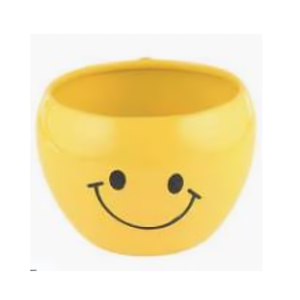 Jardinière en céramique avec appel fait main ajoute une sensation organique chaude à tout espace parfait pour mettre en valeur les plantes dans votre salon - Product Image 4