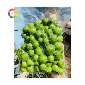 Dracontomelon surgelé de haute qualité, norme d'exportation vietnamienne, IQF, fruits verts acidulés, boissons, ingrédients naturels, vente en gros en vrac - Product Image 4