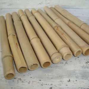 Estacas de Bambú Secas, Tratadas y Fumigadas, Listas para Enviar, Estacas de Jardín de Bambú de Vietnam - Product Image 6