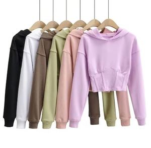 2025 nouveau hiver pull à capuche ample coton épais sweats à capuche femmes haut court conception fabrication - Product Image 3