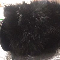 Casque Shako Napoléonien Français en Laine, Bicorne Solide, Casquette de Garde de la Garde du Corps, Autres Grades, Chapeau en Fourrure de Renard